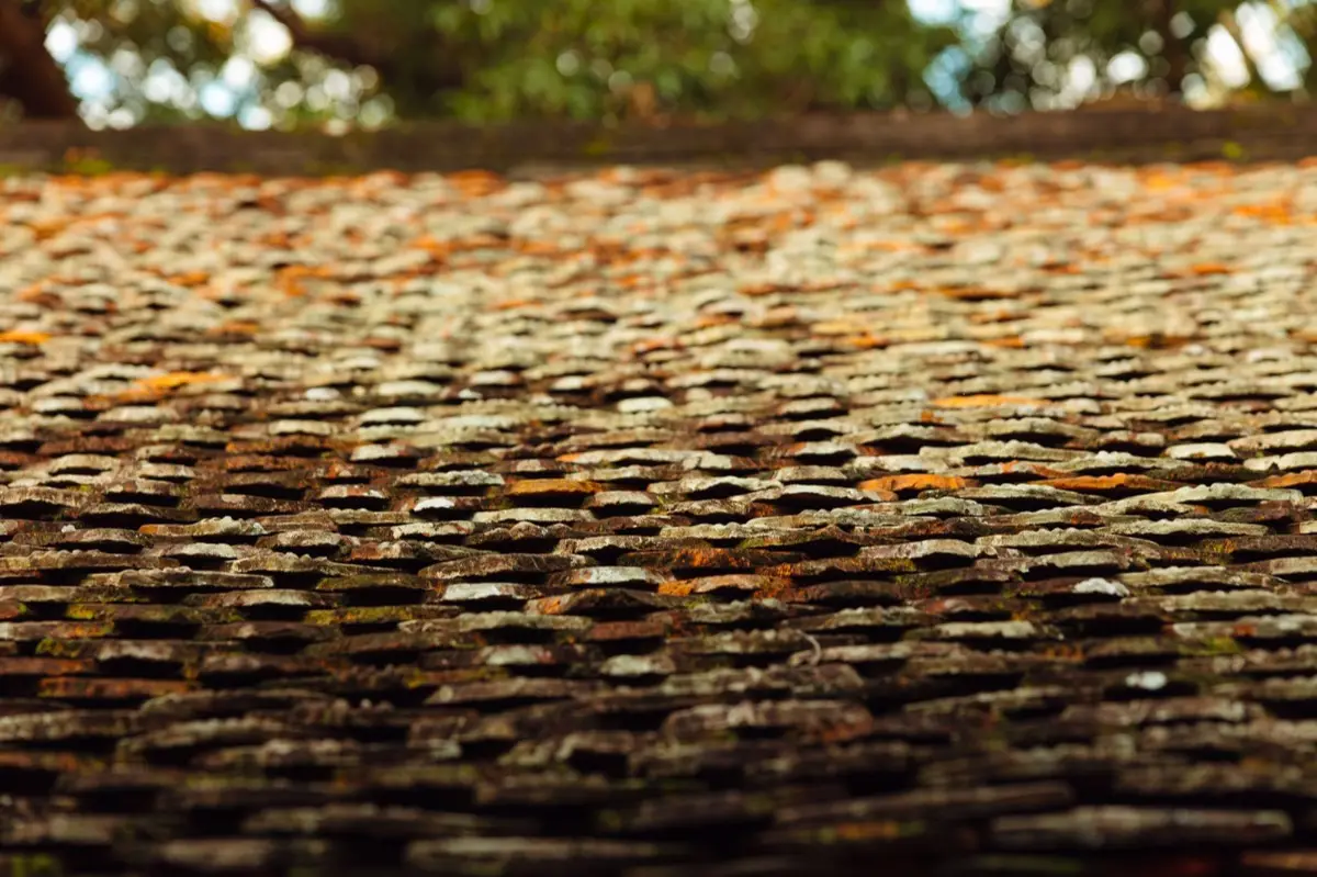 Aging shingle roof with moss growth and granule loss in Richmond, CA